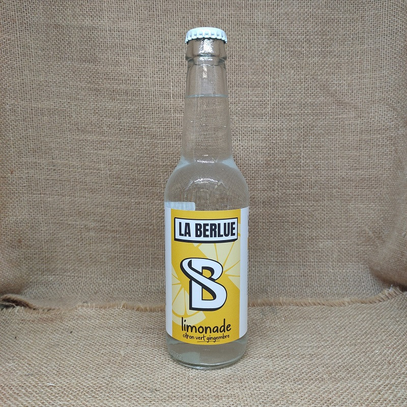 Deux Verres Avec De La Limonade Et Des Ingrédients. Gingembre